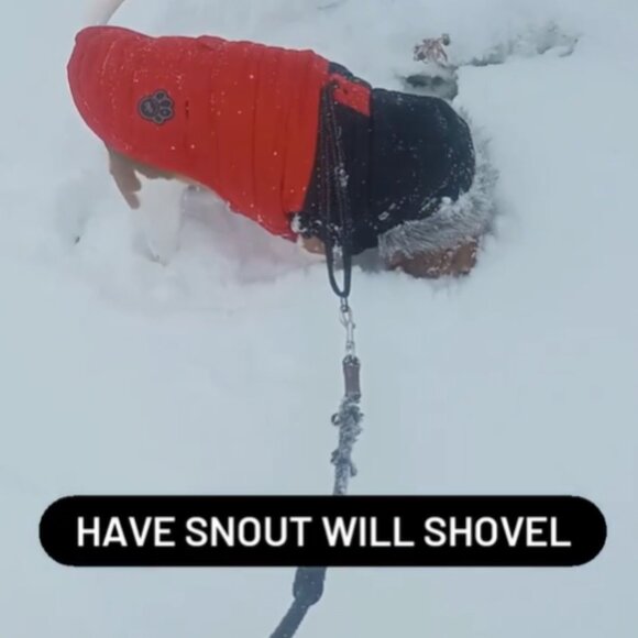 CANADA POOCH North Pole Parka 🐾 - Size 20 (33-40lbs) - Picture 6 of 6